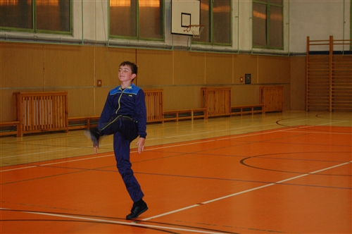Obrázek v galerii